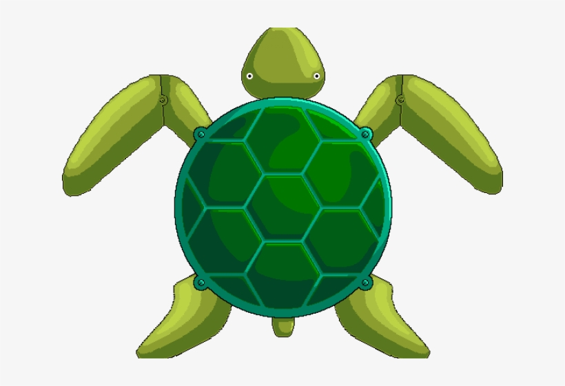 Sea Turtle Real - Turtle Body Clip Art, transparent png