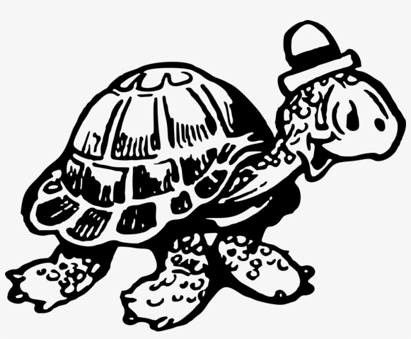 Tortoise Sea Turtle Computer Icons Drawing - Turtle, transparent png