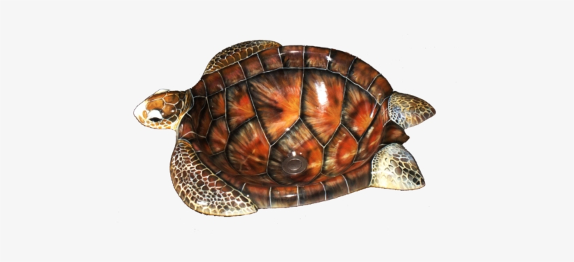 Sea Turtle Sink By Artist Larry Anderson - Hawksbill Sea Turtle, transparent png