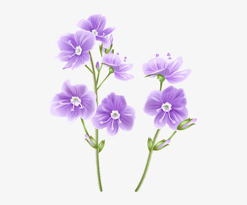 0, - Clip Art, transparent png