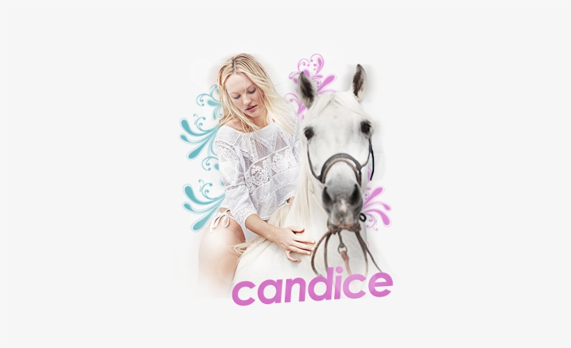 Prohlížela Jsem Si Staré Složky S Designy A Došla Jsem - Bridle, transparent png