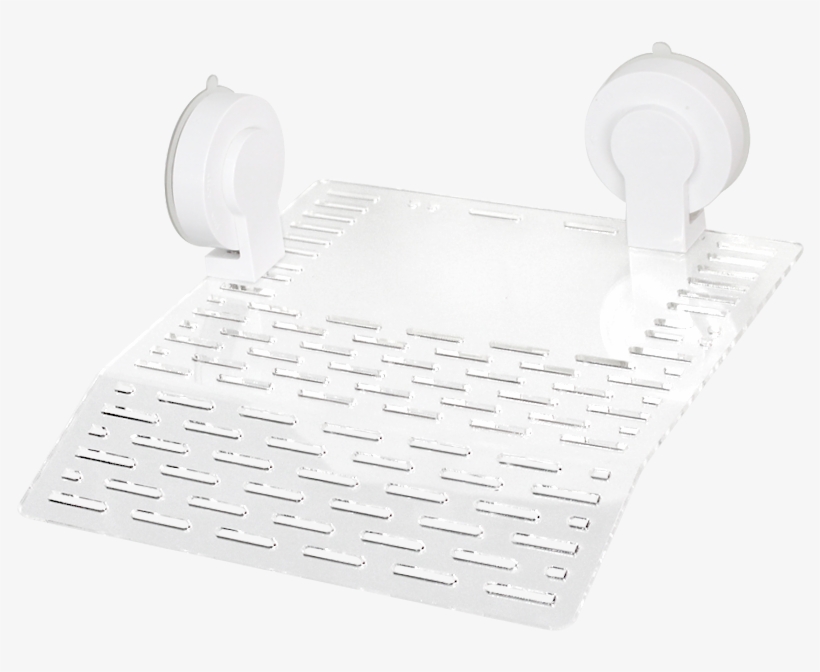 Tortoise Drying Platform Climbing Platform Climbing - Trumpet, transparent png
