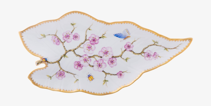 More Views - Cherry Blossom, transparent png