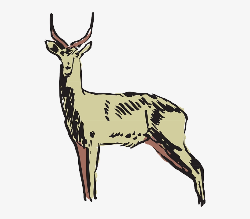 Antelope Green, Drawing, Art, Forest, Horns, Animal, - Animals Clipart, transparent png