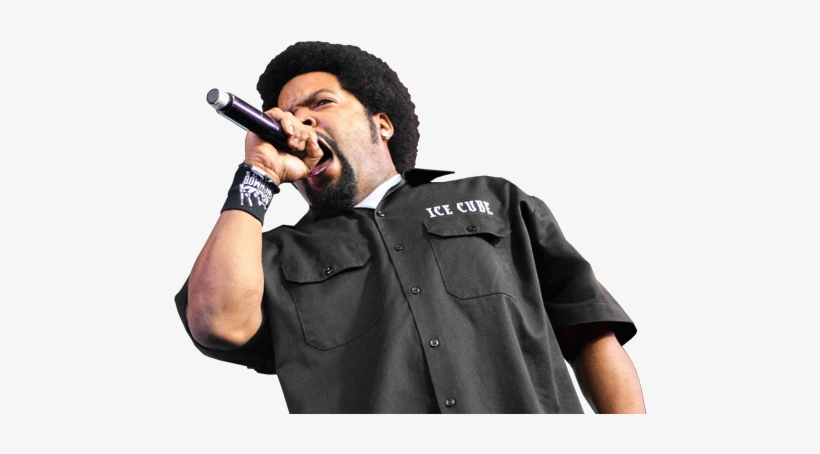 Wallpaper, transparent png