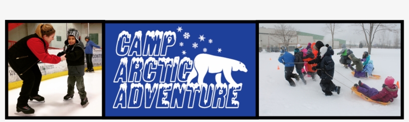 Feb 18-19 - Polar Bear, transparent png