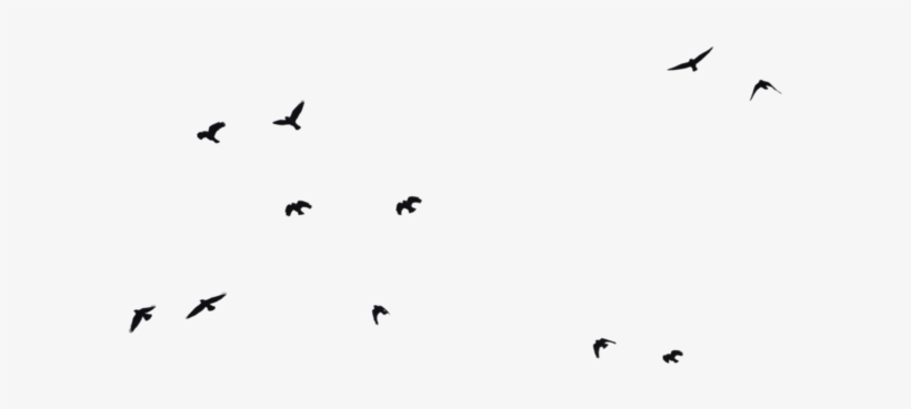 Tumblr Png Hipster Clip Royalty Free - Birds Png, transparent png