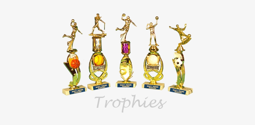Cool Trophy Styles For All Sports & Music From Schott - Wishgarden Herbs, transparent png
