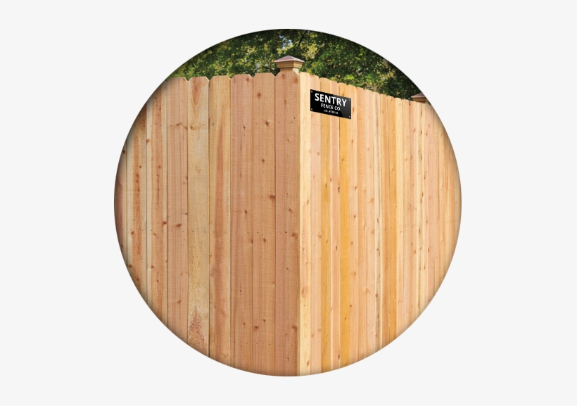 Dog Eared Cedar - California, transparent png