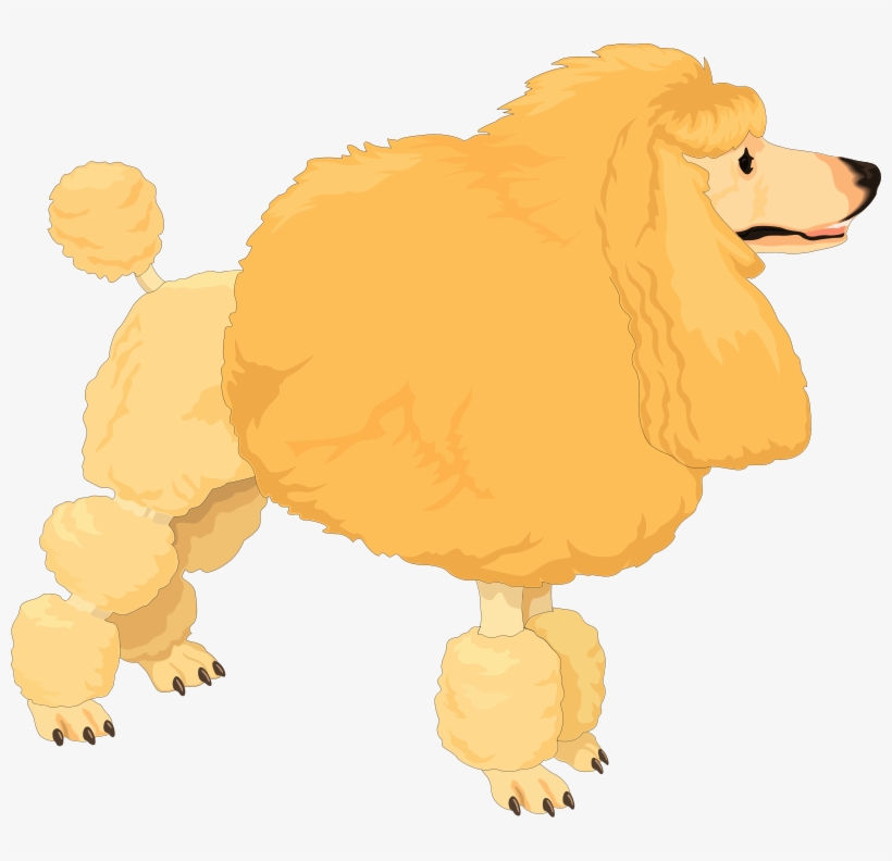 Poodle Dog Vector Png, transparent png