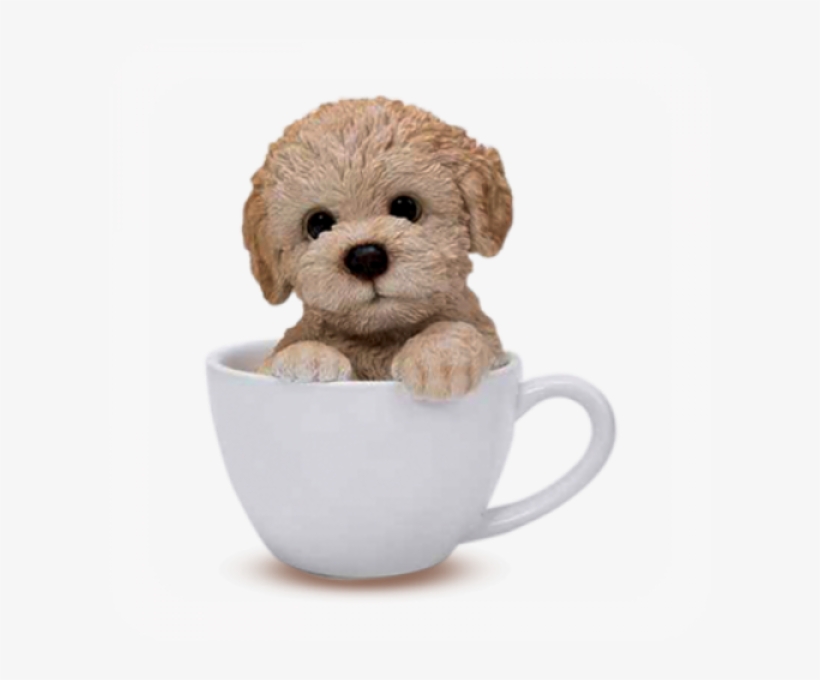 More Views - Teacup Dog Transparent, transparent png