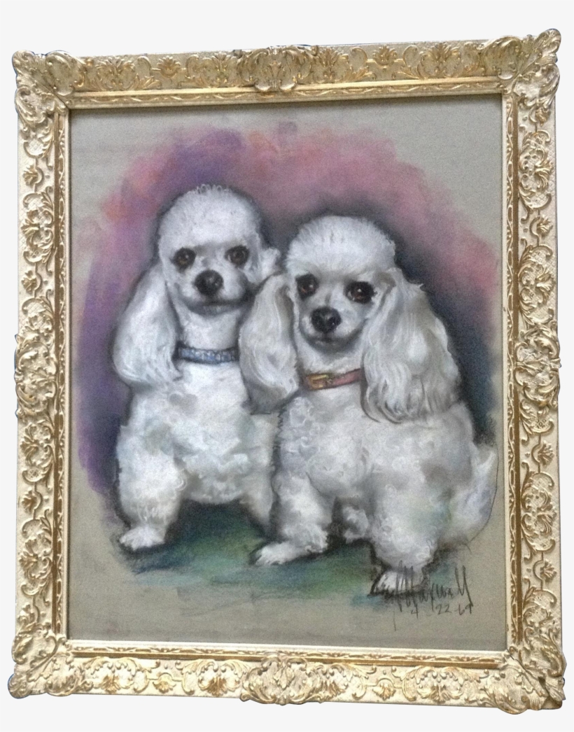 Maxwell, Toy Poodle Dogs Portrait Pastel Painting 1969 - Pastel, transparent png