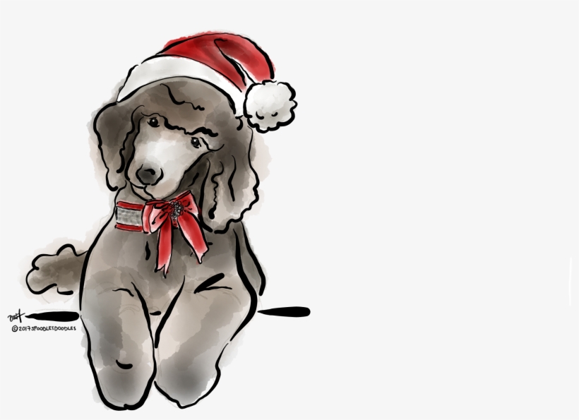 More Information - Dog Catches Something, transparent png