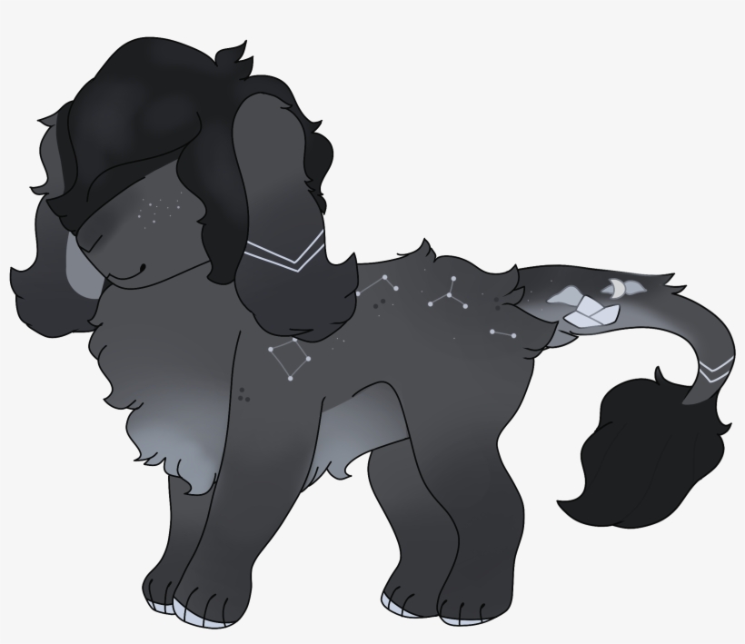 Art For Pets - Poodle, transparent png