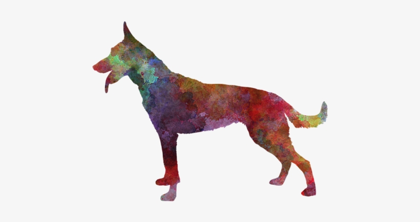 Click And Drag To Re-position The Image, If Desired - Dutch Shepherd Painting, transparent png