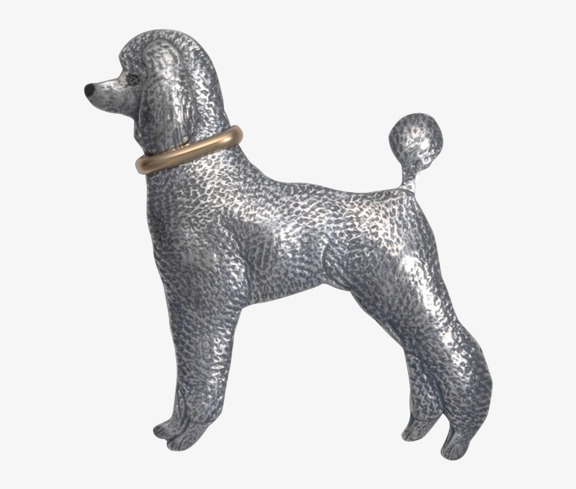 Poodle W/ Collar, transparent png