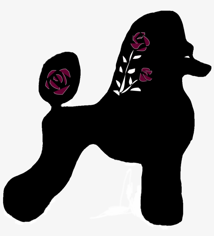 Rose City Standard Poodles Champion Solid And Multicolored - Poodle, transparent png