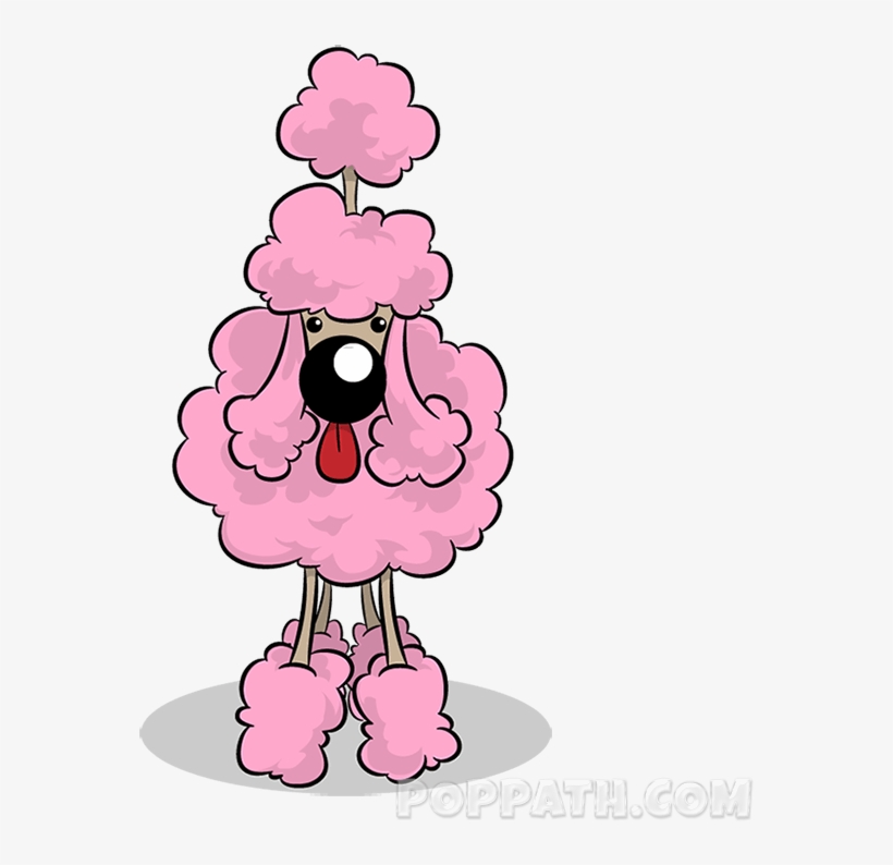 Poodles Have Excellent Intelligence Skills And They - Illustration, transparent png