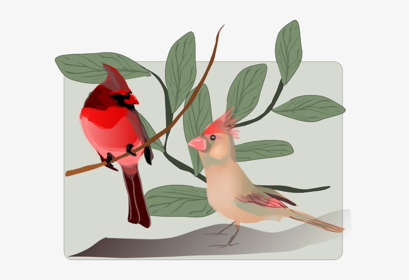 Cardinal Clipart Branch Clipart - Custom Cardinals Throw Blanket, transparent png