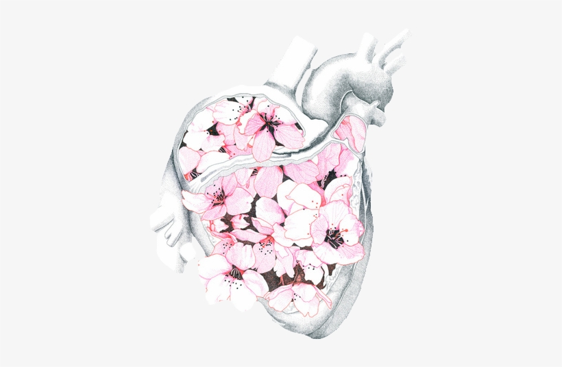 Transparent Png - We Heart It Medicina, transparent png
