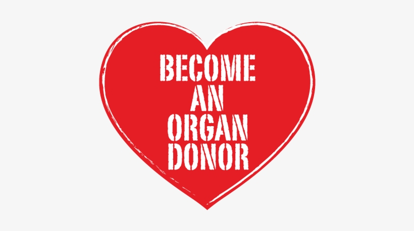 Organ Donor Heart - Organ Donation South Africa, transparent png