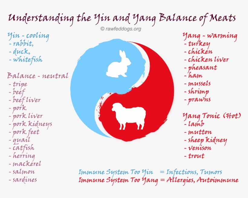 Food Energetics The Yin-yang Balance Of Meats - Yin And Yang Meats, transparent png