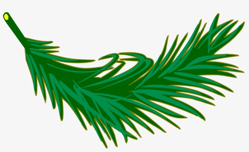 Palm Trees Palm Branch Palm-leaf Manuscript Frond - Palm Frond Clipart, transparent png