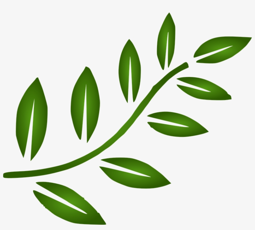 Leaf Google Search Ideas Cafeteria Pinterest Leaves - Black Leaves Clip Art, transparent png