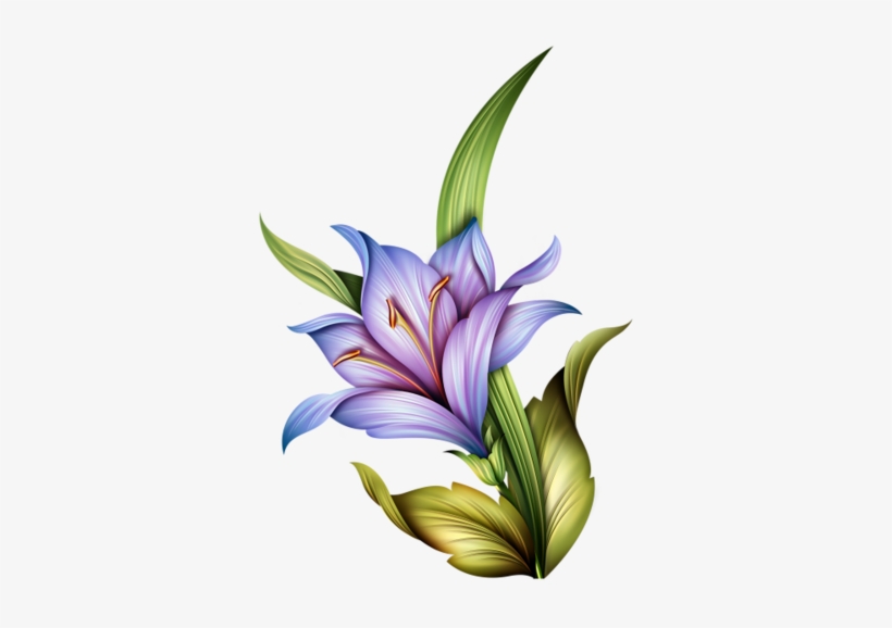 0 66714 Fd7760b2 Orig - Flower, transparent png