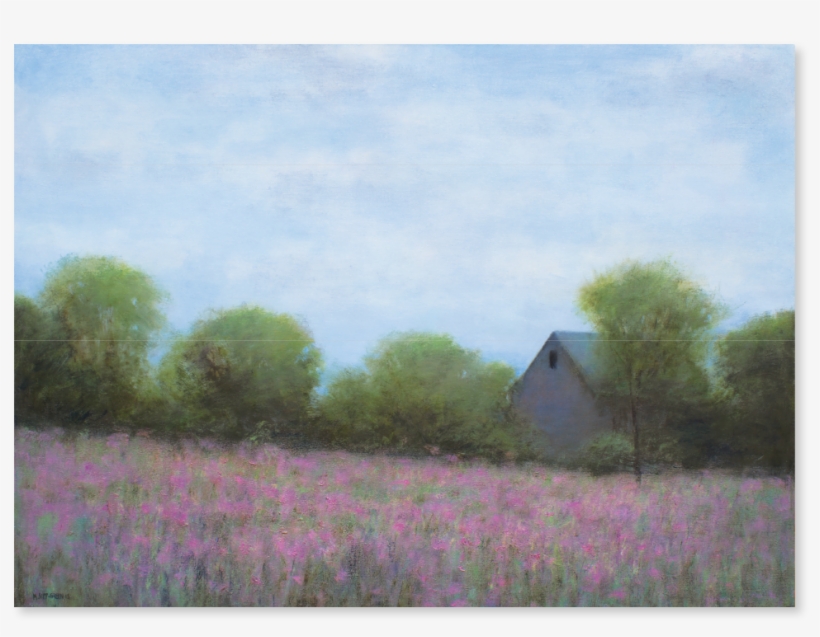 Wild Mallow In Chilmark • Oil On Linen • 36 X 48 Inches - Rural Area, transparent png