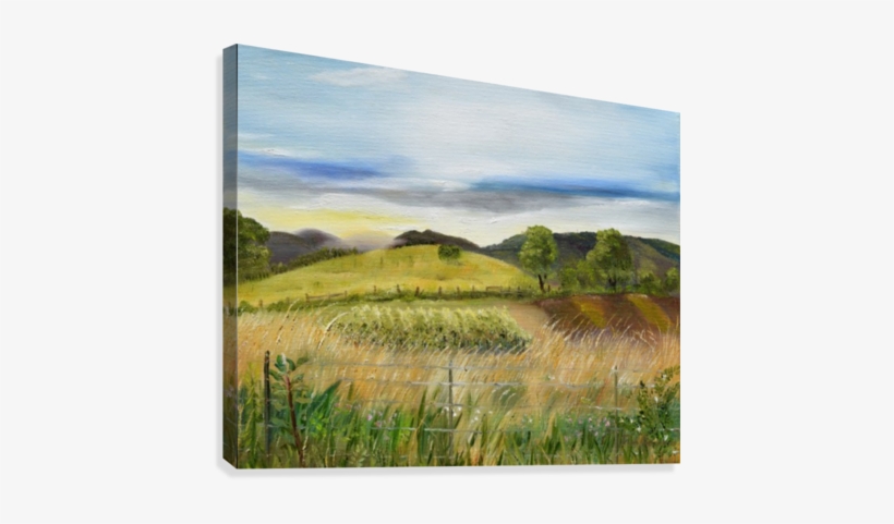Pasture Love At Chateau Meichtry Canvas Print - Chateau Meichtry Family Vineyard And Winery, transparent png