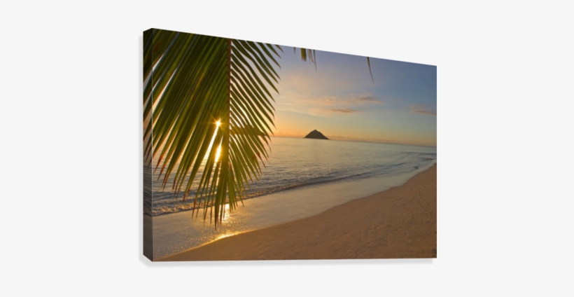 Hawaii, Oahu, Mokulua Islands, Golden Sunrise At Lanikai - Posterazzi Hawaii Oahu Mokulua Islands Golden Sunrise, transparent png