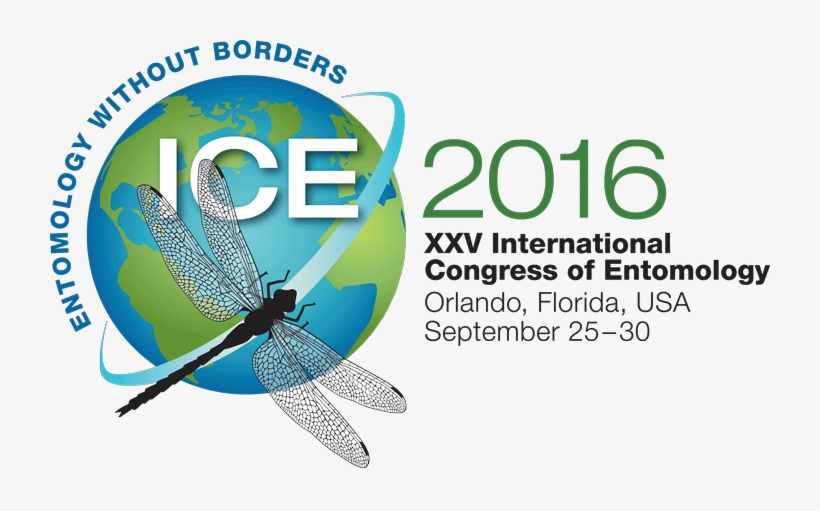 Ice 2016, transparent png
