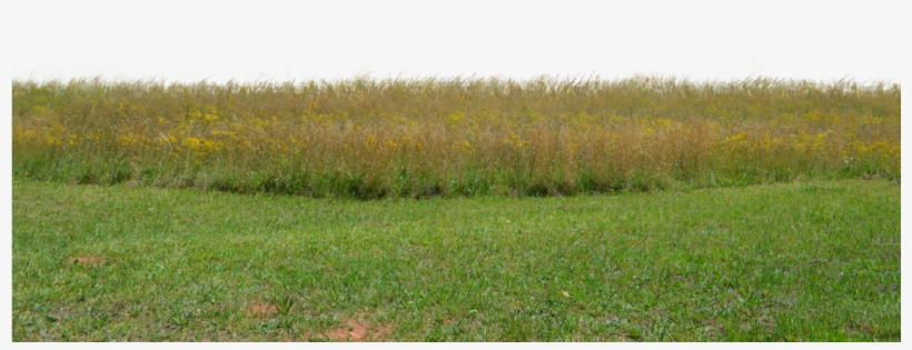 Go To Image - Grass Field Png, transparent png