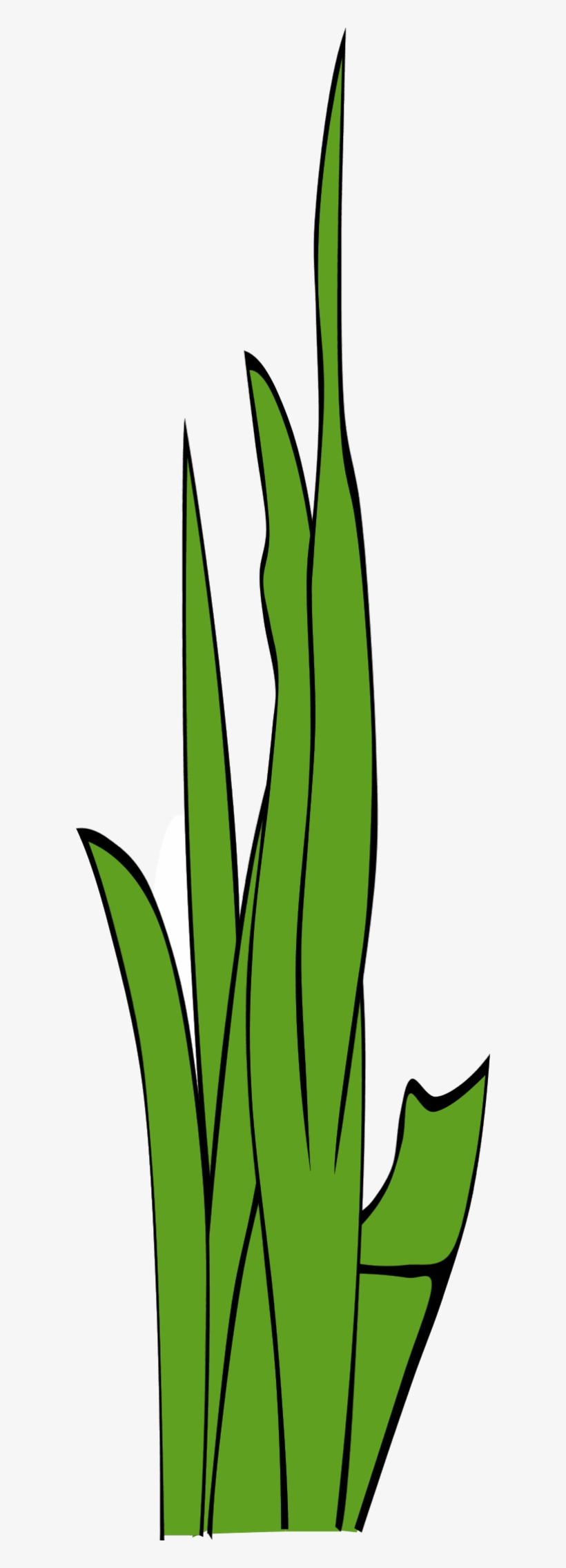 Swamp Clipart Grass Field - Blade Of Grass Clipart, transparent png