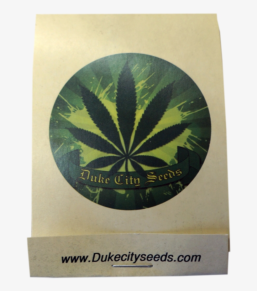 Space Jam - Haze, transparent png