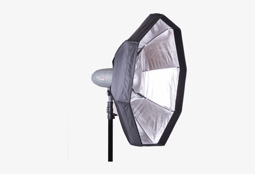 Fotoquantum Flash Kit Fqm-500 Plus With Light Stand - Fotoquantum Kit Flashs De Studio Fqm-250/250 Plus Avec, transparent png