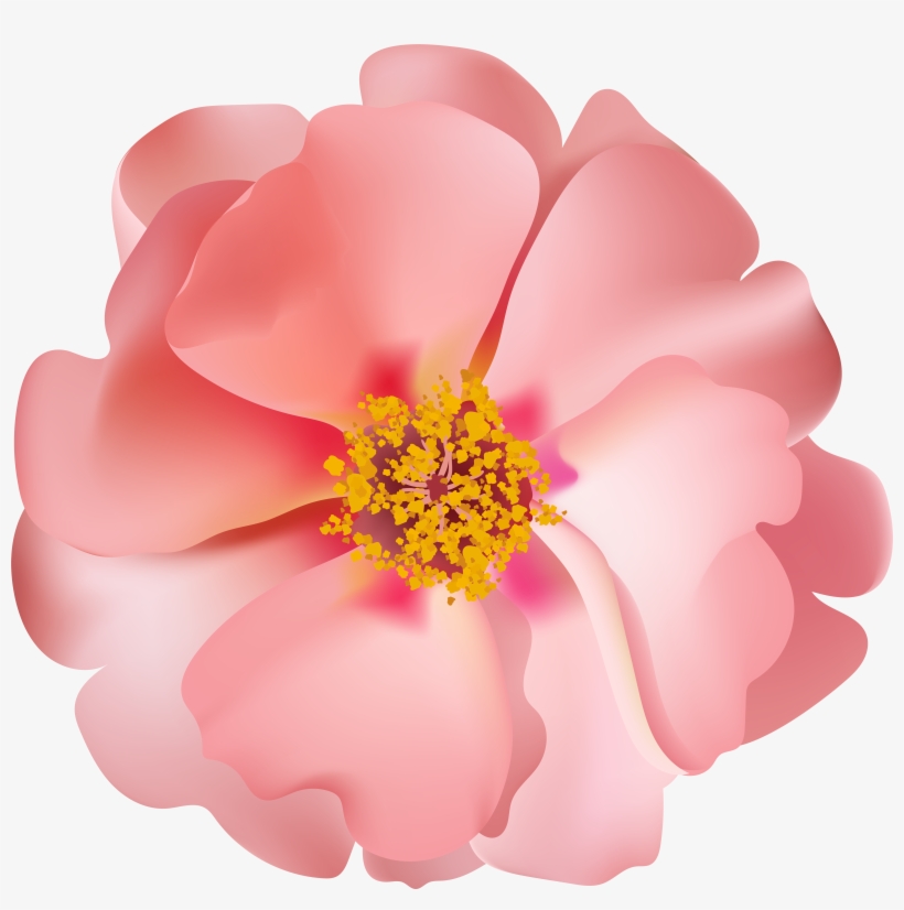 0, - Shrub, transparent png
