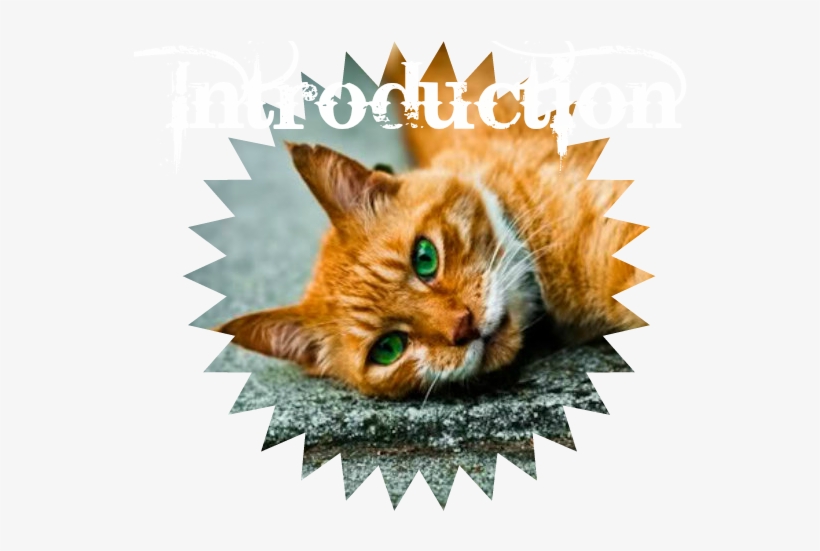 Ebeautiful Cat Image With Green Eyes - Ginger Cat With Green Eyes, transparent png