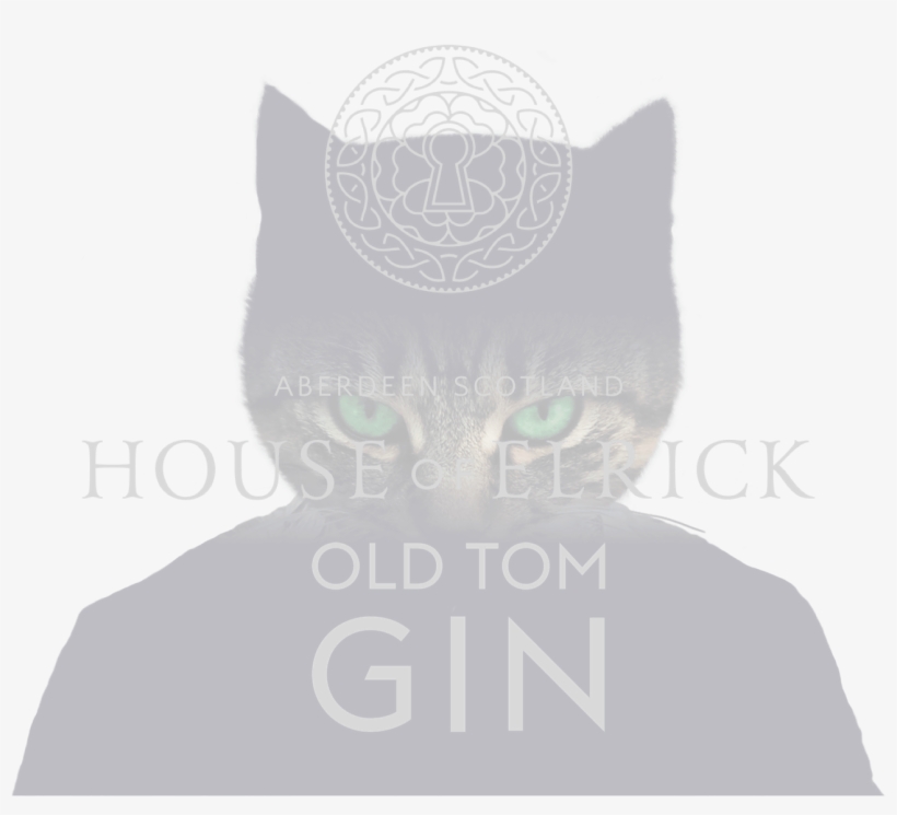 Old Tom Banner Cat Eyes - Mask, transparent png