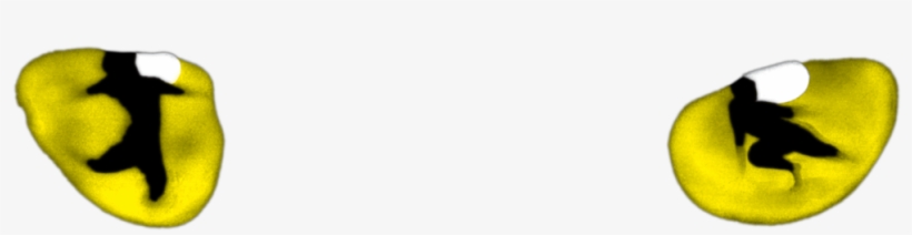 "cats" Will Return To Broadway - Cats Musical 👀, transparent png