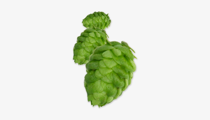 Hop-nugget - Hop Png, transparent png