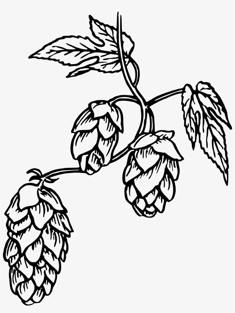This Free Icons Png Design Of Hops 2, transparent png