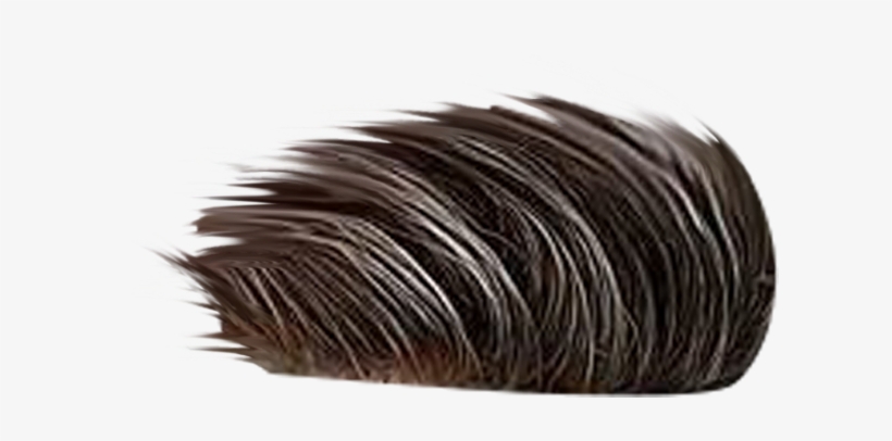 Cb Edits Hair Png, transparent png