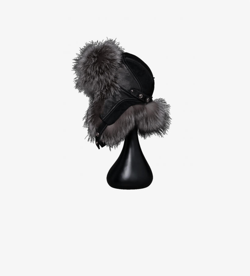 Cortina - Fur Clothing, transparent png