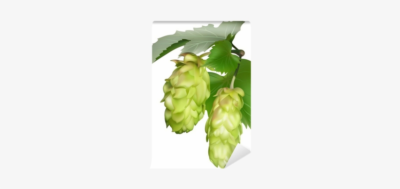 Clipart, transparent png