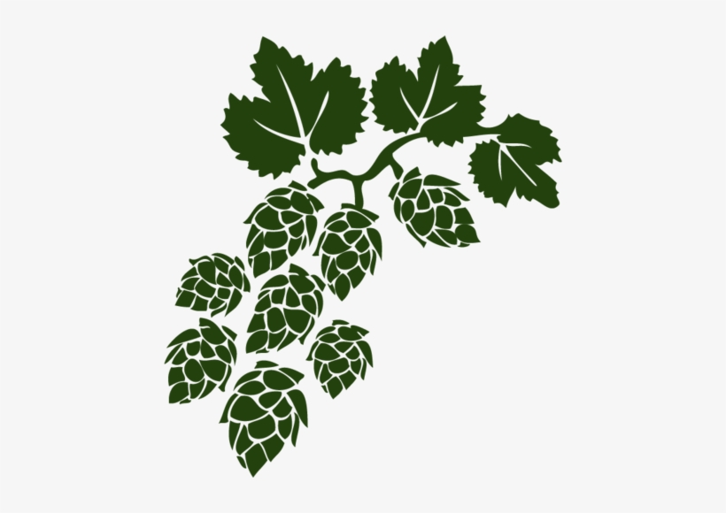 Kentish Stores - Hops Vine Vinyl Decal Sized To Fit A 13 L, transparent png
