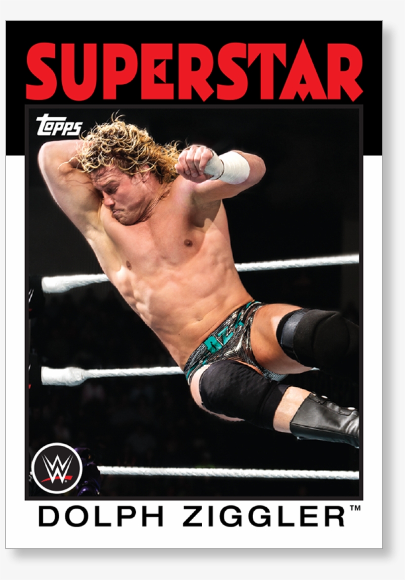 Brie Bella, transparent png