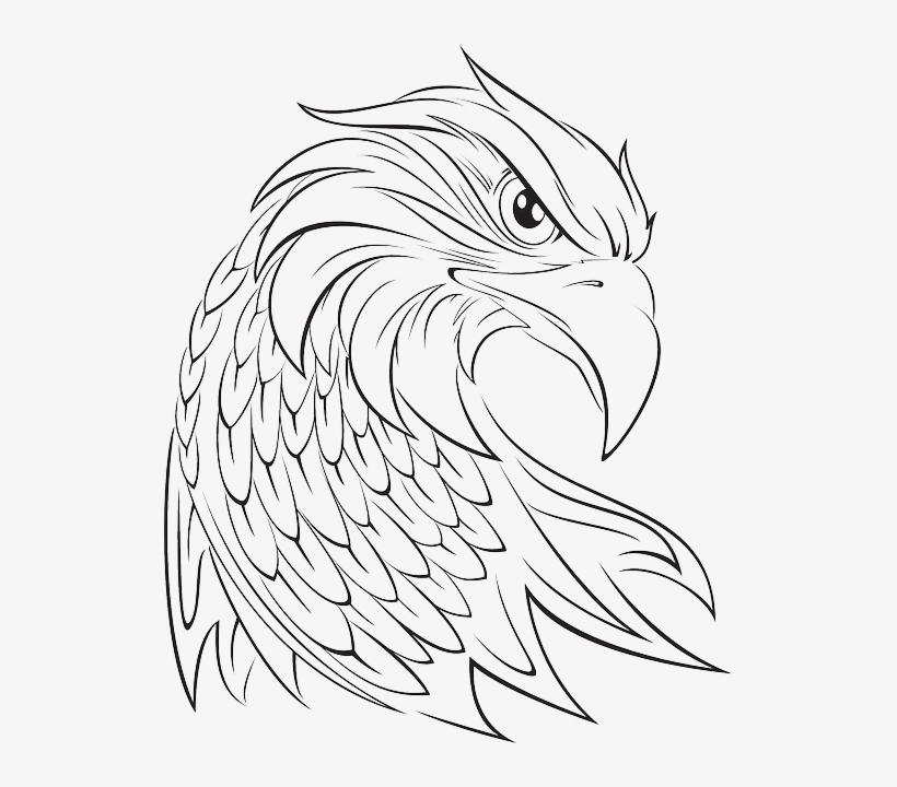 Head, Eagle, Bird, Animal, Beak, Turned, Turn - Court Of Honor Ceremony Invitation - Eagle Scout Card, transparent png