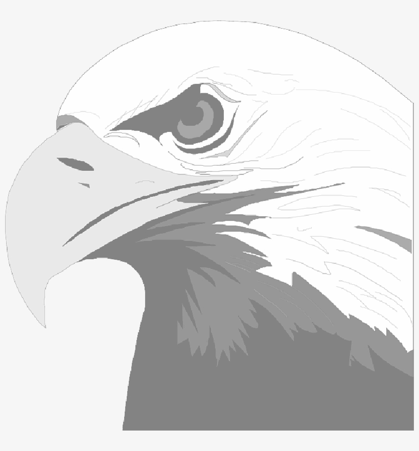 Mb Image/png - Eagle Screens (only) By Baggo, transparent png
